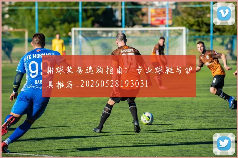 排球装备选购指南：专业球鞋与护具推荐_20260528193031