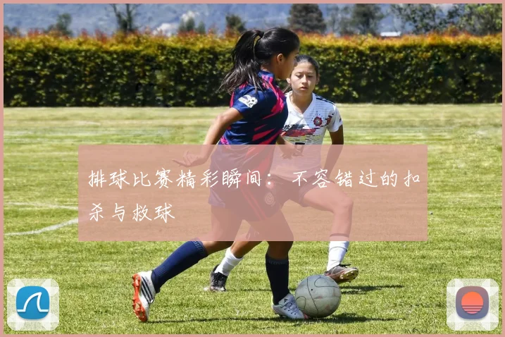 排球比赛精彩瞬间：不容错过的扣杀与救球