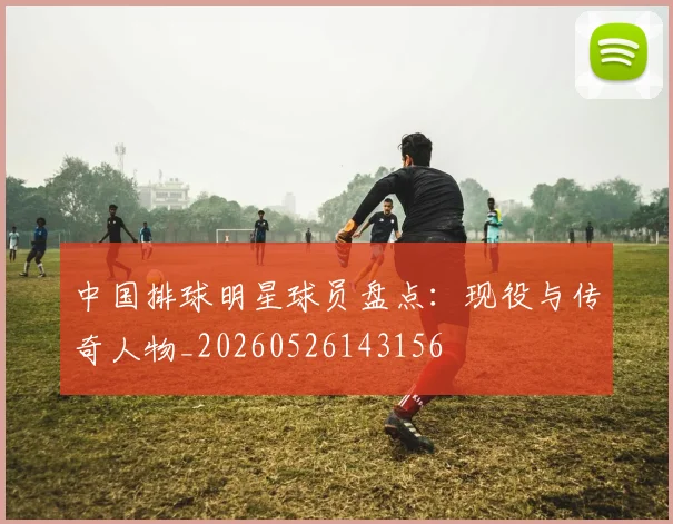 中国排球明星球员盘点：现役与传奇人物_20260526143156