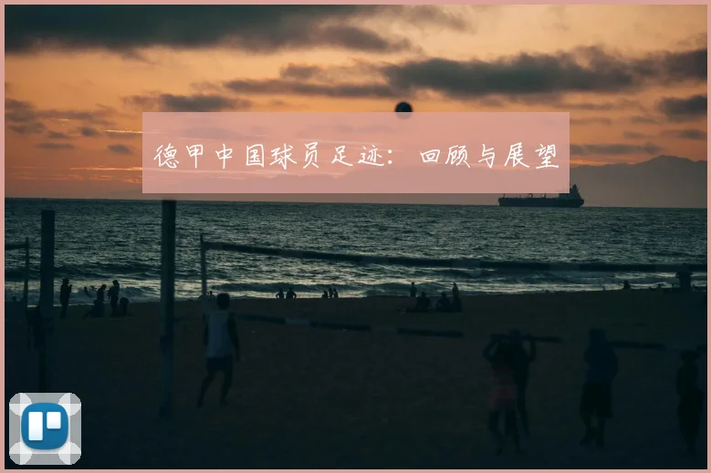 德甲中国球员足迹：回顾与展望
